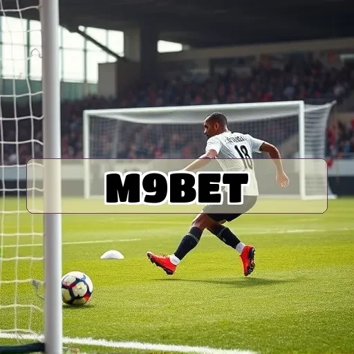 m9bet.com Contato